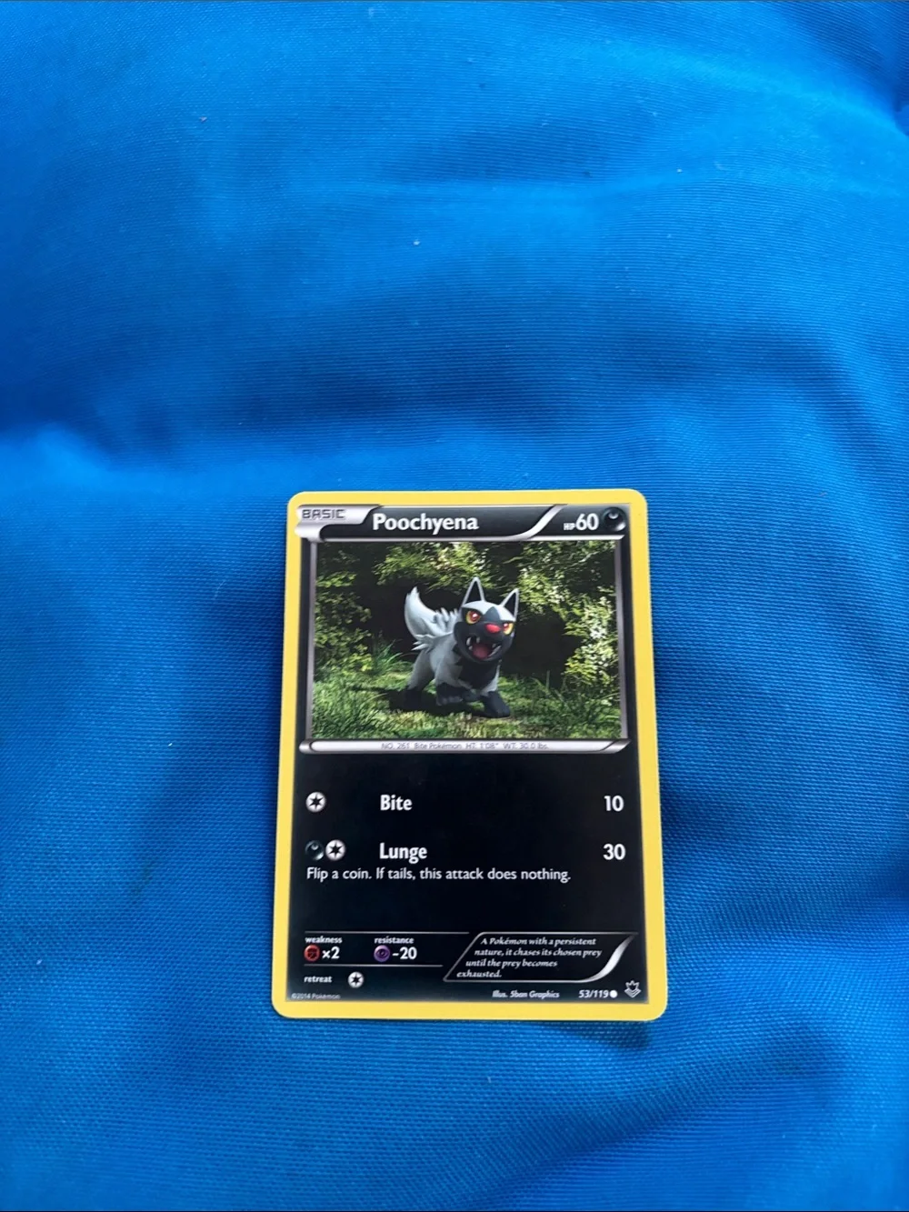 Pokémon Cards Poochyena HP 60 2014 NWOTS